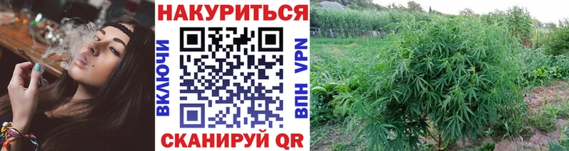Марихуана марихуана  что такое наркотик  Мезень 